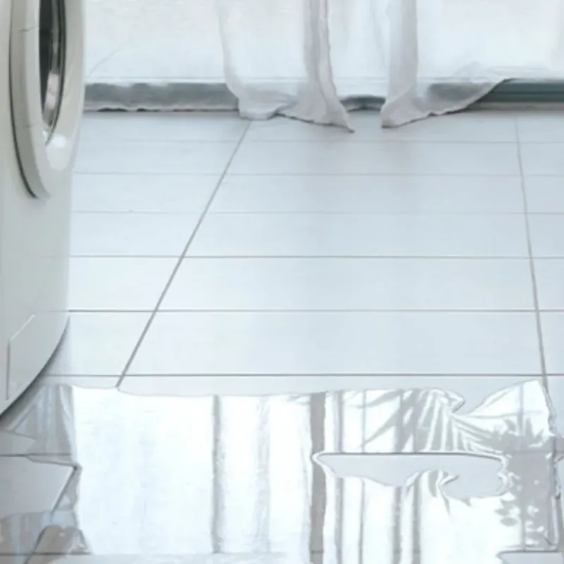 Appliance Leak Cleanup in Grifton, NC