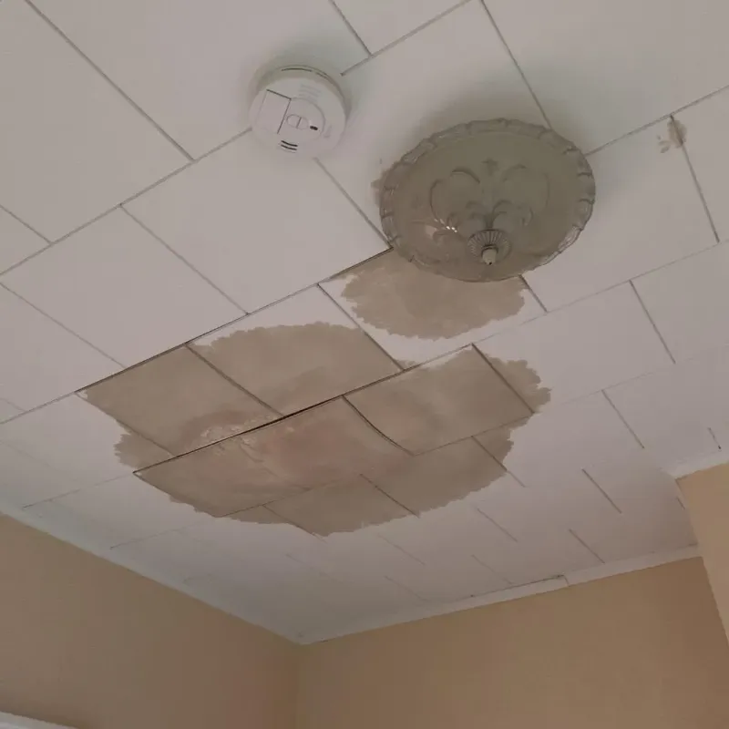 Ceiling Water Damage Repair in Grifton, NC